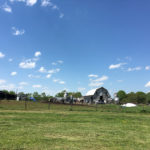 green field with a barn