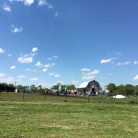 green field with a barn