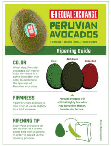 Guide how to ripen Peruvian Avocado