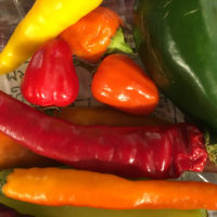 peppers of various shapes, sizes, and colors