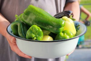 hands holding a bowl of peppers