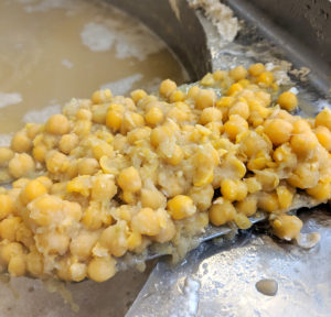 chickpeas on a scooper, just scooped out of water