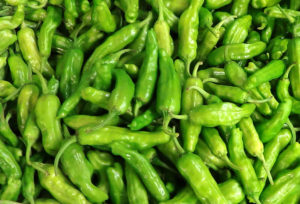 lots of small shishito peppers