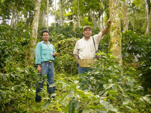two farmers in a jungle setting with a basket