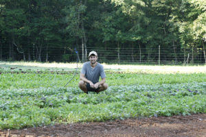 man squatting in field with rows of lettuce