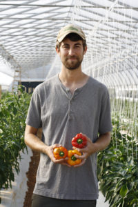 man in greenhouse holding peppers of different colors