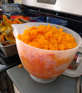 bowl or pumpkin insides