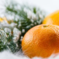 mandarins with snowy greenery