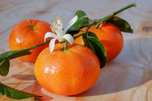 mandarins on the vine with a flower