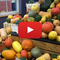 winter squash in a pile in the store, with a video icon