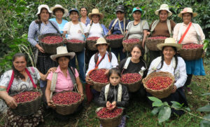 group of women farmers with hats on, each holding a basket of raw coffee beans