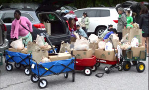 wagons filled with groceries in a parking lot