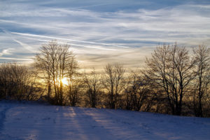 sun rising over a snowy field behind trees, also a wintery sky with sparse clouds