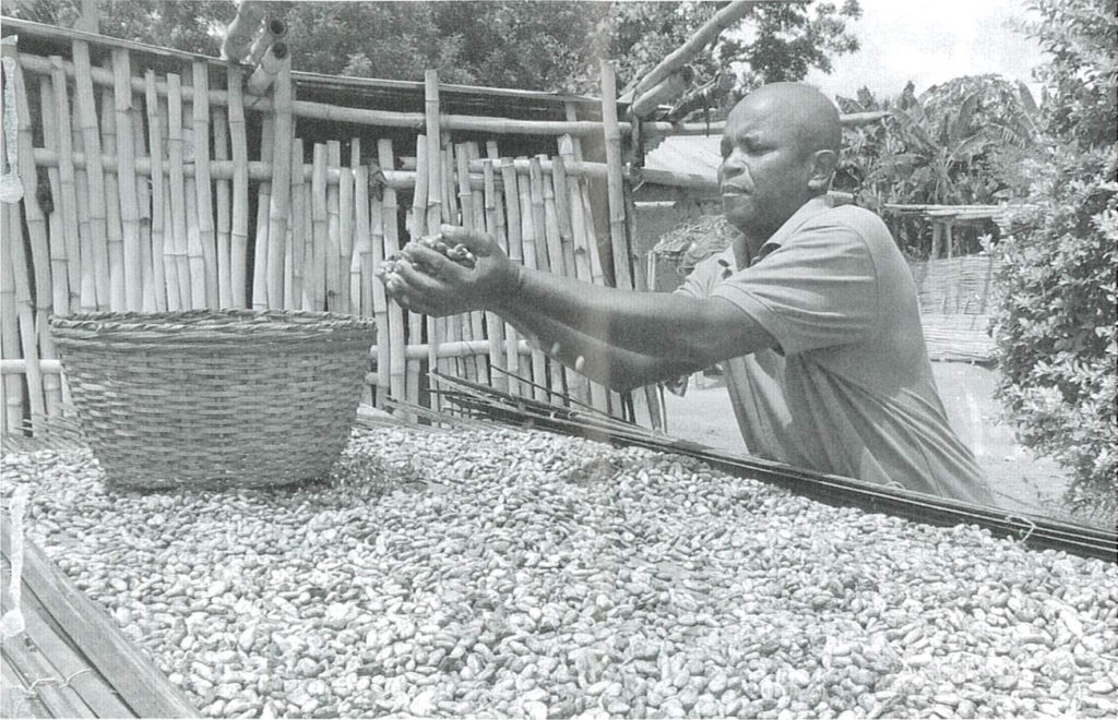 man holding a handful of cocoa beans over a table covered with beans