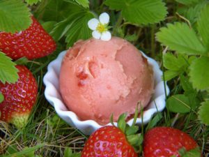 bowl with one scoop of strawberry ice cream, with strawberries around it