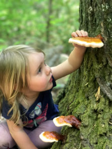 girl picking mushrooms from a tree trunk
