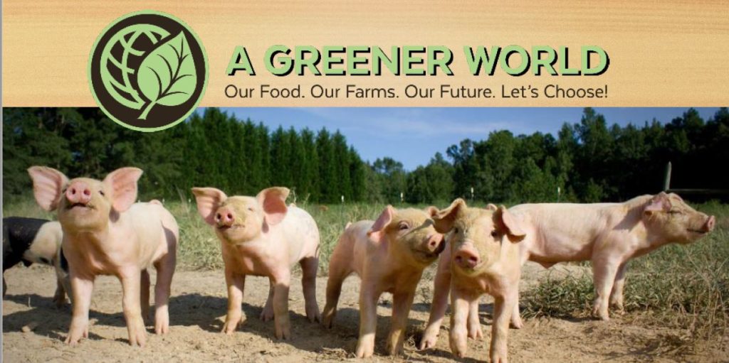 a row of piglets with the title A Greener World