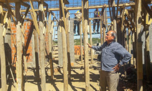 architect looking at wooden structure