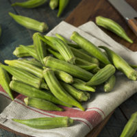 Raw Green Organic Okra Harvest Ready to Cook With