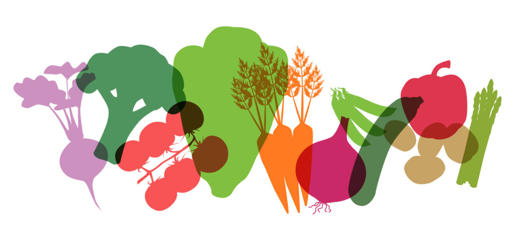 simple drawing of Various Supermarket Vegetables