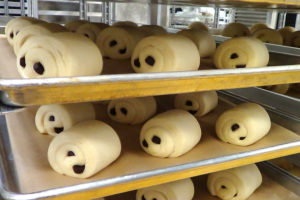 rolled croissant dough with chocolate centers on pan