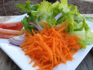 salad with lettuce, carrot shreds, and tomato wedges