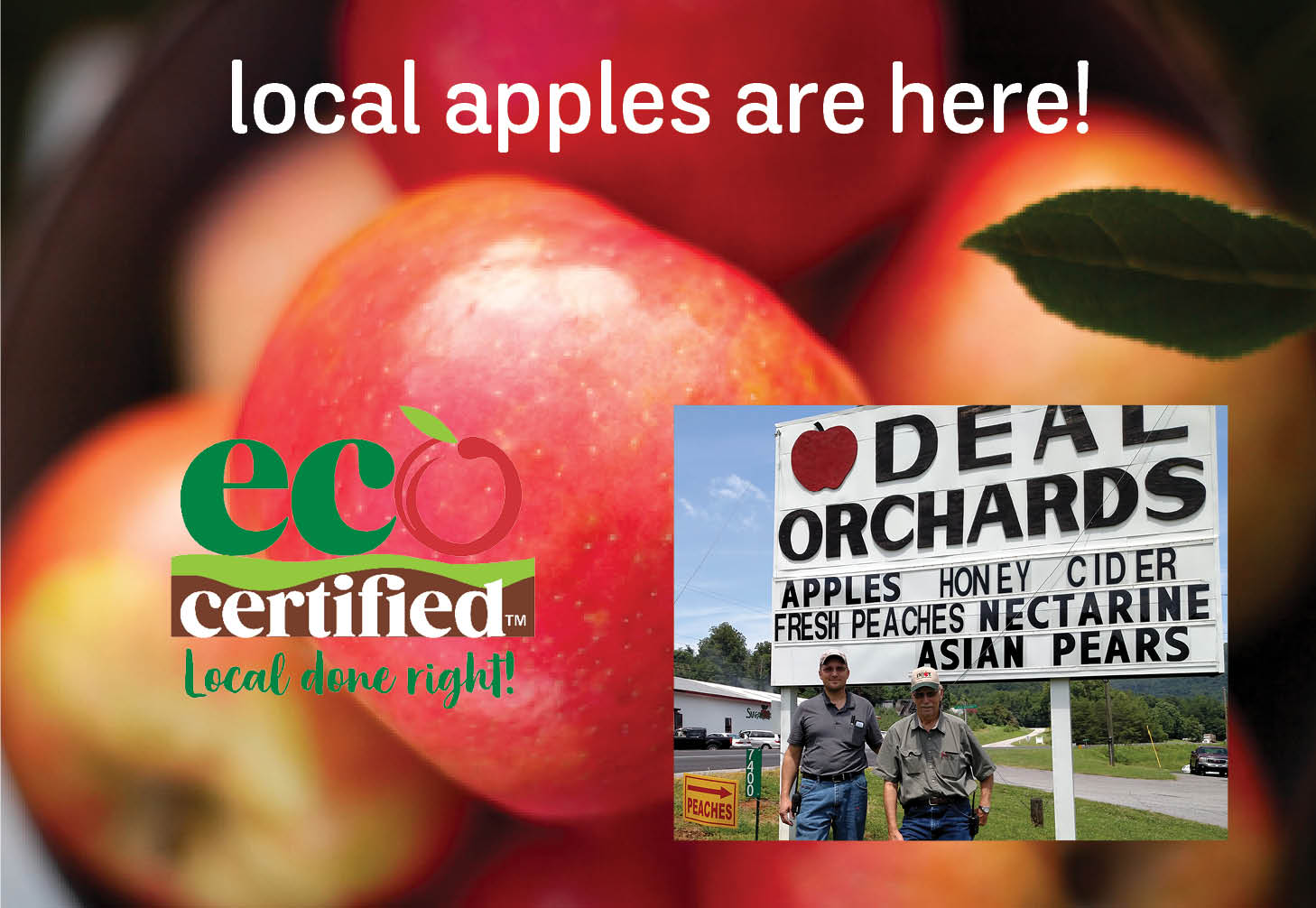 Learn about EcoCertified program